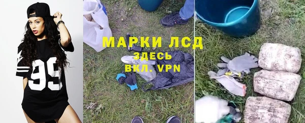 спиды Абаза