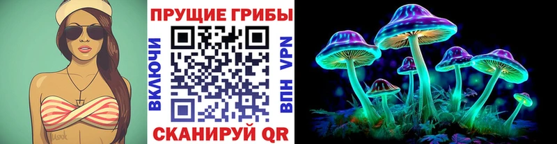 закладка  Янаул  Псилоцибиновые грибы Psilocybine cubensis 